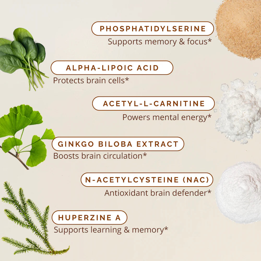 Brain & Memory Power Boost Dietary Supplement 120 ct