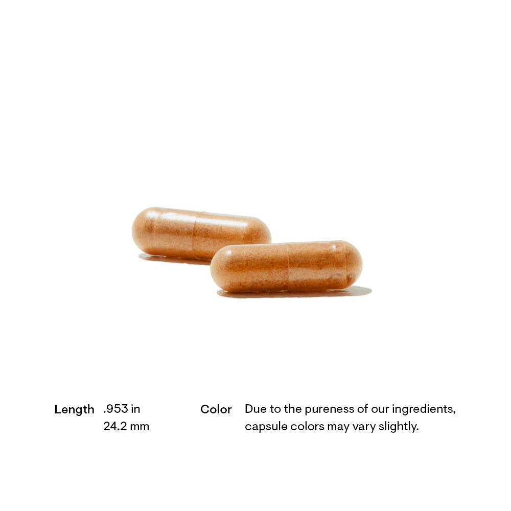 Red Yeast Rice + CoQ10 Dietary Supplement 120 ct